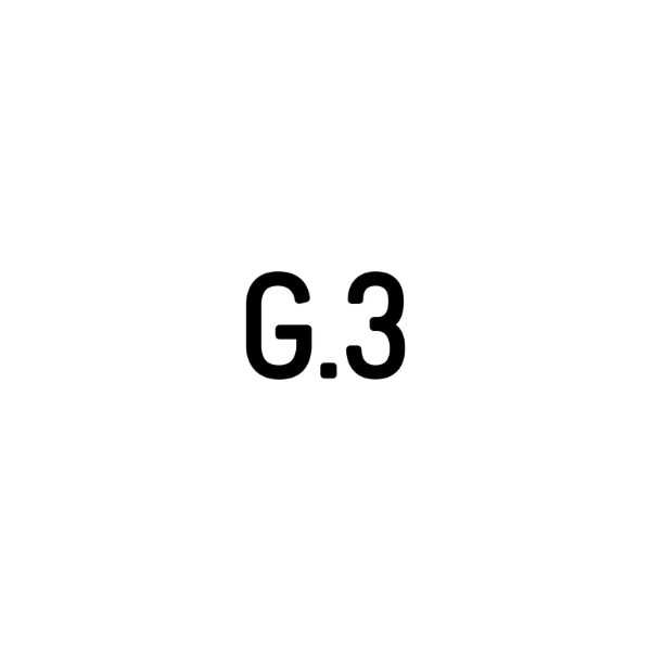 G.3